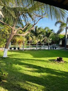 a palm tree in a park with a green field at Casa Flamboyant Parajuru in Beberibe