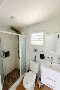 a bathroom with a toilet and a shower and a sink at Escondite de Amor in La Vega