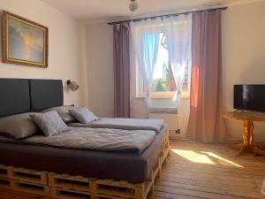 a bedroom with a bed and a television and a window at Apartament Świętojański in Tolkmicko