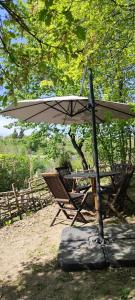 an umbrella and a table and chairs under a tree at Chez Philippe et Agnès Appartement T2 in Vauciennes
