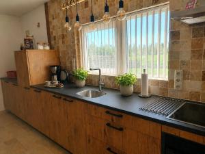 a kitchen counter with a sink and a window at Bargerveenhuis in Weiteveen