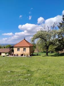 a house in a field of grass with a tree at Seosko domacinstvo Gardic in Užice