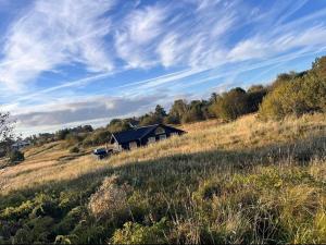 a house on a hill in a field at Feriehus Kornblomst in Tversted