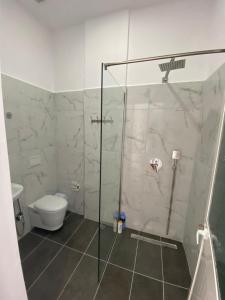 a bathroom with a shower and a toilet at Hotel Restaurant Deso in Shijak