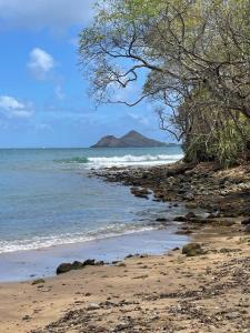 a sandy beach with trees and the ocean at Rasta Rustic Off Grid Cabin in Gros Islet