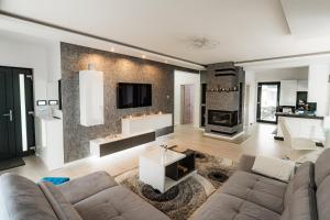 a living room with a couch and a fireplace at Casa DIAMOND LUX&SPA in Sovata