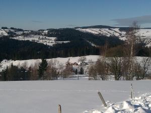 Apartmány Kuřátko v zime