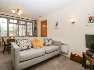 a living room with a couch and a television at Oak Tree in Weston-super-Mare