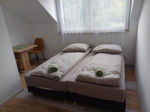 two beds in a bedroom with a window at Agroturystyka W Stadninie Koni in Maszyce