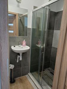 a bathroom with a shower and a sink at Agroturystyka W Stadninie Koni in Maszyce