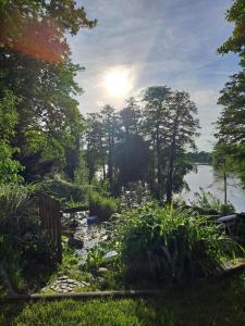 a garden with a view of a body of water at Ferienwohnung Vogelnest in Templin