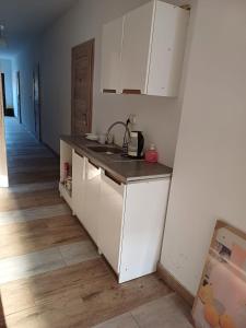 a kitchen with a sink and a counter top at Agroturystyka W Stadninie Koni in Maszyce