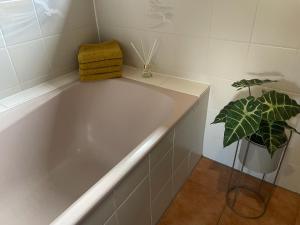 a white bath tub with a plant in a bathroom at Ferienhaus mit 3 Apartments - Belle Apartment - Top-Lage, Sauna, HS-Card in Feldberg +3 photos