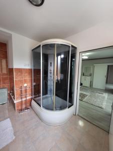 a large shower in a bathroom with a glass door at Vila Riverside Nikolaj in Niš +22 photos