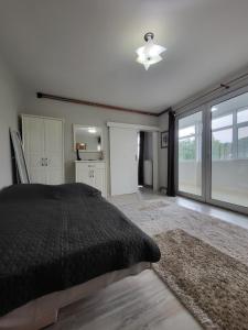 a bedroom with a bed and a ceiling fan at Vila Riverside Nikolaj in Niš