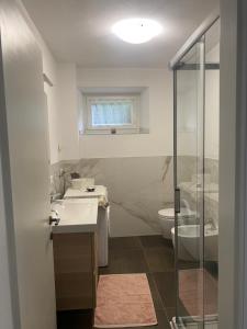 a bathroom with a shower and a sink and a toilet at Casa Martello in Levico Terme +43 photos
