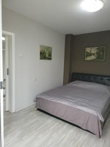 a bedroom with a bed in a white room at Vila Riverside Nikolaj in Niš