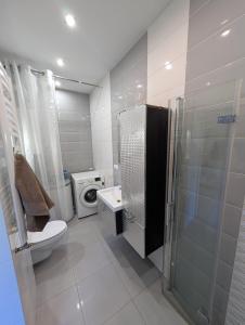 a bathroom with a toilet and a washing machine at Parkowe Ranczo in Poraj +31 photos