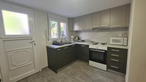 a kitchen with a stove and a sink and a microwave at JP Luxury Apartment 2 in Chios