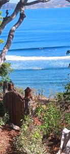 a view of the ocean from a beach with a tree at Amanda Ekas Homestay in Pulau Gilkaliantan
