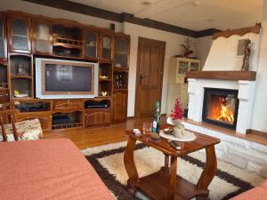a living room with a fireplace and a television at Родопски Рай in Slaveino