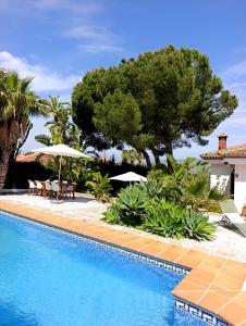 a pool with chairs and umbrellas next to a house at B&B Villa Pinos Málaga in Alhaurín de la Torre