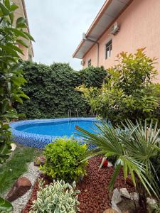 a swimming pool in a garden with plants at Hotel B&S Samarkand Boutique in Samarkand