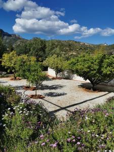 a group of trees in a field with flowers at Casa del Sol in Gandía