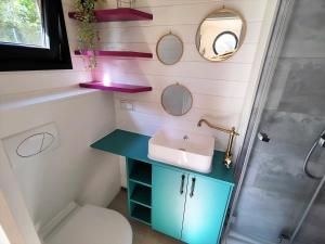 a bathroom with a sink and mirrors on the wall at La mini maison du Lama in Libin +28 photos