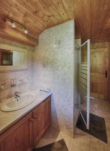 ein Bad mit einem Waschbecken und einer Dusche in der Unterkunft Chambres d'hôtes les Terrasses de Varme in Sallanches