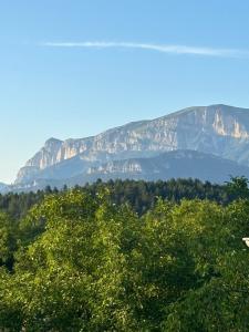 a mountain in the distance with trees in the foreground at Sublime studio de caractère ,50 m2 climatisé . in Montlaur-en-Diois