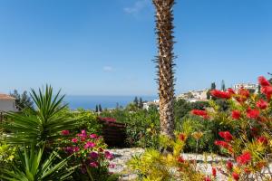 a palm tree in a garden with flowers at Peyia Hilltop Retreat - Village Views & Sunsets in Peyia