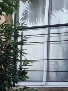 an open window with a plant in front of it at Gîte Holidays mon repos in Saint-André