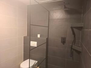 a bathroom with a toilet and a shower at BÉTA Apartman in Sárospatak