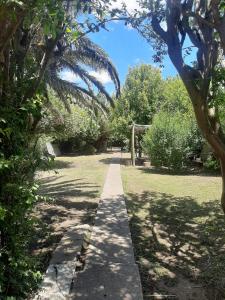 a path in a park with a palm tree at Vecchia Casa en el centro in General Villegas