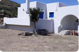 a white house with a palm tree in front of it at Terra Naxos in Galini