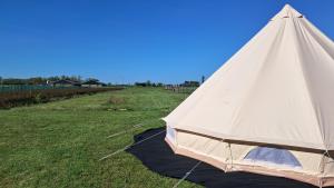 a white tent sitting in a field of grass at Bell-tent Luna met uitzicht in Hensbroek +4 photos