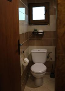 a bathroom with a toilet and a window at Jack Sparrow's cottage- Ada Bojana River in Donji Štoj +18 photos