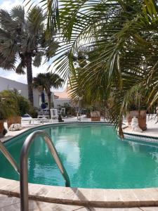 a swimming pool with palm trees in a resort at Palmitas Hostel with tropical garden & pool in Oranjestad