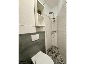 a small bathroom with a toilet and a shower at Mariehus in Wangerooge +12 photos