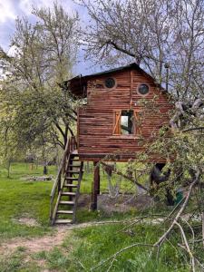 a tree house with a ladder and a window at Apple Tree Cabin (Friendship Land) in Şelari
