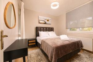 a bedroom with a large bed and a mirror at VALLEY Premium House in Serres