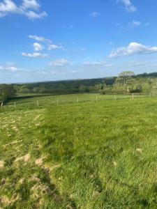 a field of green grass with a fence in the background at Hilltop Farm Camping in Haselbury Bryan +9 photos