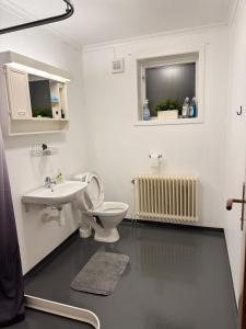 a white bathroom with a toilet and a sink at Two room warm apartment Östavall in Östavall +80 photos