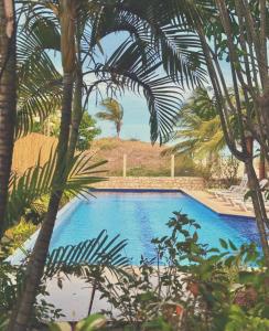 a swimming pool with palm trees in the foreground at Mareias Villas in São Miguel do Gostoso +20 photos
