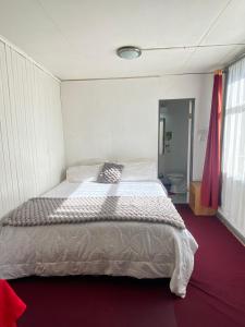 a bedroom with a large bed in a room at Hostal Cochrane in Valdivia