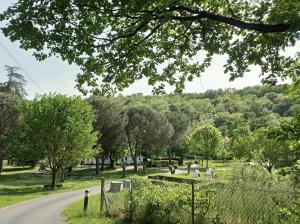 a road in a cemetery with trees in the background at Camping La Bâtisse in Réalmont