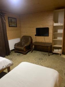 a living room with a chair and a television at Садиба Райшток in Staryy Mizunʼ