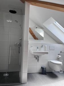a bathroom with a shower and a toilet and a sink at Rooftop Apartment in Kornwestheim +7 photos
