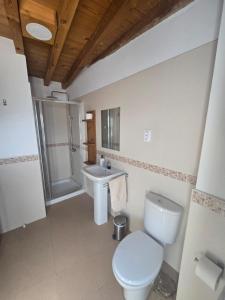 a bathroom with a toilet and a sink at La Casona del Rio Abion in Valdealvillo +42 photos